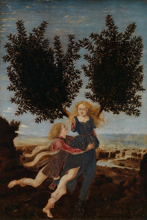 Apollo and Daphne, London National Gallery